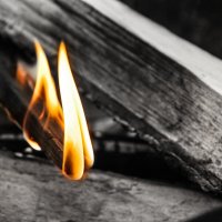 . . . . . :: Руслан . . . . . :: Руслан