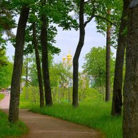 Дорога в прекрасное... :: Sergey Gordoff