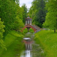 Нежное очарование лета... :: Sergey Gordoff