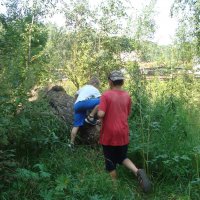 раньше не было клещей, шли везде мы напролом... :: Галина Флора