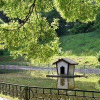 Листва, пронизанная светом. :: Леонид Иванчук