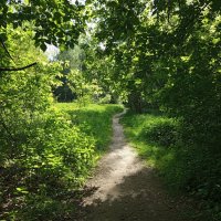 Разъиюнилось :: Андрей Лукьянов