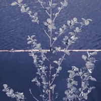 Назва. отсу. :: Денис Безногов