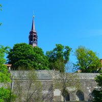 Вид на Тоомпеа :: Aida10 