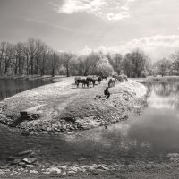 *** :: Сергей Григорьев