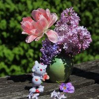 Майское настроение.. :: Татьян@ Ивановна