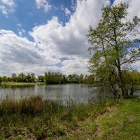 В апреле... :: Николай Гирш В апреле... :: Николай Гирш