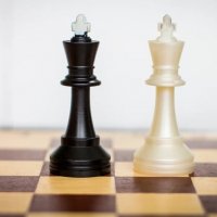 Два короля :: Тамара Федорова