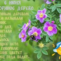 Шиповников день :: Валерий Иванович
