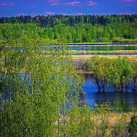 Июнь...Разлив протоки Сырой Аган! :: Владимир Июнь...Разлив протоки Сырой Аган! :: Владимир