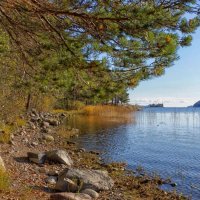 берег :: Ольга Cоломатина