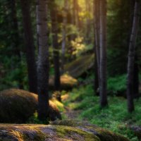 * :: Александр Иванов