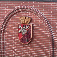 Герб Гусева. :: Валерия Комова