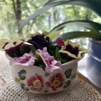 *** :: Валентина Береснева