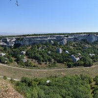 Природа Крыма :: Amazing Cosmea