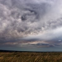 А на завтра будет дождь... :: Галина Ильясова