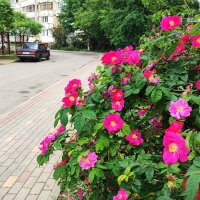 ,,, :: Сергей Тимоновский