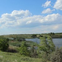 Местные виды. :: Виктор 