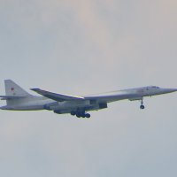"Белый лебедь" :: Андрей Снегерёв