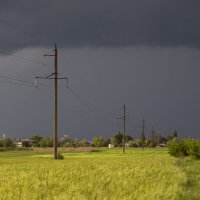 *** :: Яна Горбунова