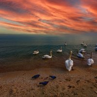 Море Черное :: Vladimir Море Черное :: Vladimir