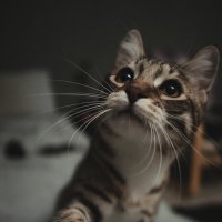 Привет! :: Олег Куб