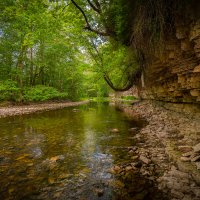 **** :: Елизавета .