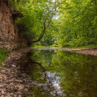 **** :: Елизавета .