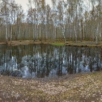 Парк Сосновка.Панорама. Весна. :: Лилия *