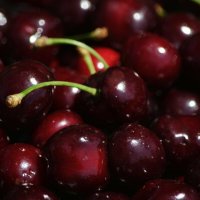 Черешня)) :: Татьяна Евдокимова Черешня)) :: Татьяна Евдокимова