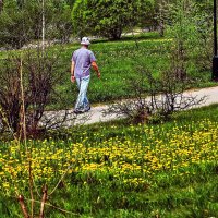 Июнь...Не замечая Красоты! :: Владимир 