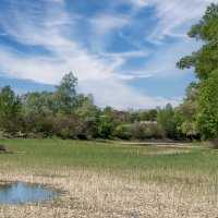 Одна из проток реки Кубань :: Игорь Сикорский