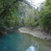 Прогулка вдоль реки Хоста :: Евгений Седов