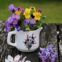 Майское.... :: Татьян@ Ивановна