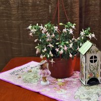 С чайным домиком :: Юрий Гайворонскiий