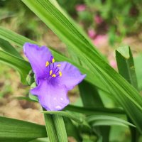 ,,, :: Сергей Тимоновский