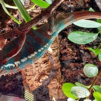 медитирует :: ИРЭН@ .