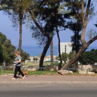 Дорога, парк и море! :: Светлана Хращевская Дорога, парк и море! :: Светлана Хращевская