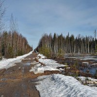 Весенняя дорога :: Vyacheslav Gordeev