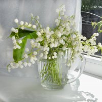 *** :: Надежда Куркина 