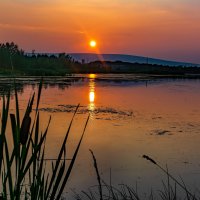 Вечернее солнце :: Vladimbormotov Вечернее солнце :: Vladimbormotov