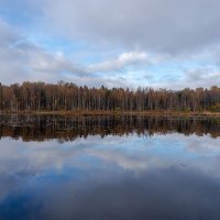 Щепкино болото. :: Андрей Уткин