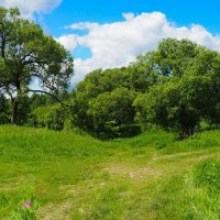 Смоленское лето :: Милешкин Владимир Алексеевич Смоленское лето :: Милешкин Владимир Алексеевич