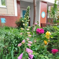 ,,, :: Сергей Тимоновский