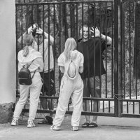 госпиталь... :: emelka2 