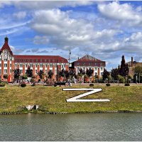 Гусев весенний. :: Валерия Комова Гусев весенний. :: Валерия Комова