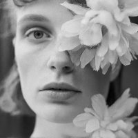 *** :: Евгений Нодвиков