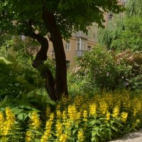 Двор в Москве :: Oleg4618 Шутченко