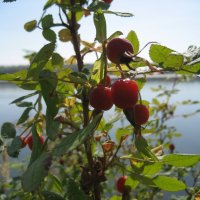 У протоки :: Anna Ivanova У протоки :: Anna Ivanova