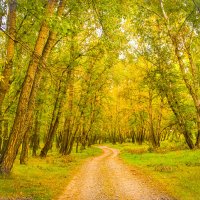 "Унылая пора очей очарованье ..." :: юрий Амосов